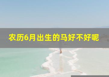 农历6月出生的马好不好呢