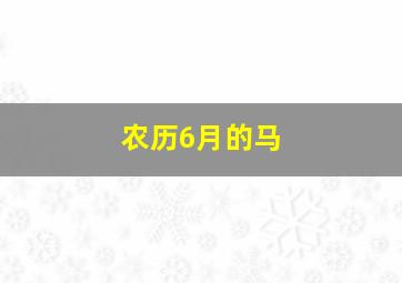 农历6月的马