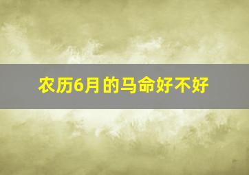 农历6月的马命好不好