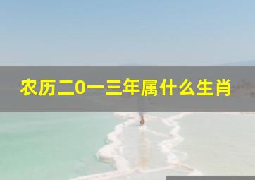 农历二0一三年属什么生肖