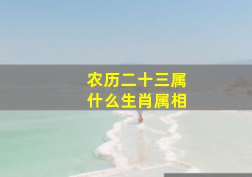 农历二十三属什么生肖属相