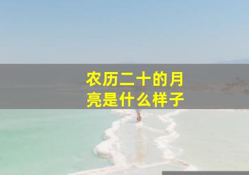 农历二十的月亮是什么样子