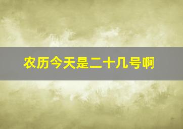 农历今天是二十几号啊