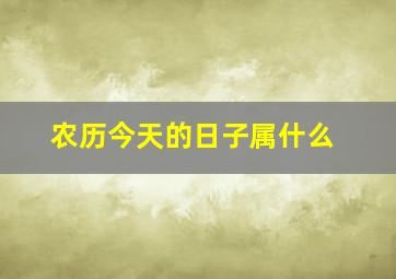 农历今天的日子属什么