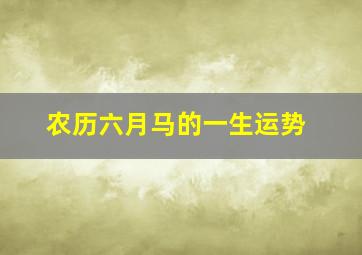 农历六月马的一生运势