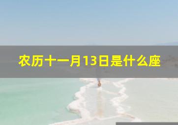 农历十一月13日是什么座