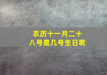 农历十一月二十八号是几号生日呢