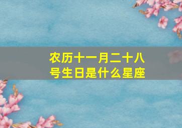 农历十一月二十八号生日是什么星座