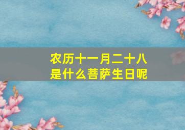 农历十一月二十八是什么菩萨生日呢