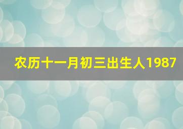 农历十一月初三出生人1987