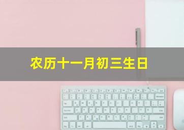 农历十一月初三生日