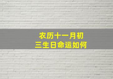 农历十一月初三生日命运如何