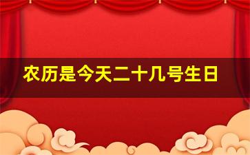 农历是今天二十几号生日