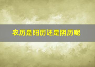 农历是阳历还是阴历呢