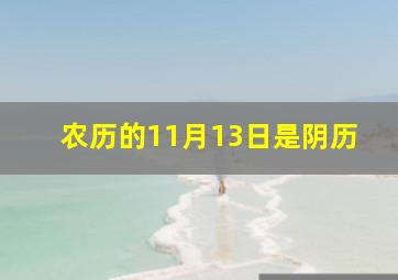 农历的11月13日是阴历