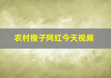 农村橙子阿红今天视频