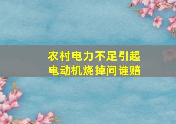 农村电力不足引起电动机烧掉问谁赔