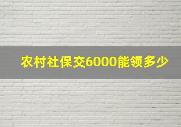 农村社保交6000能领多少