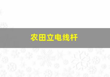 农田立电线杆