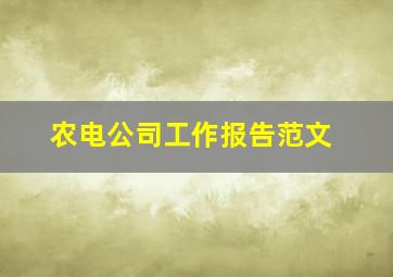 农电公司工作报告范文