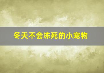 冬天不会冻死的小宠物