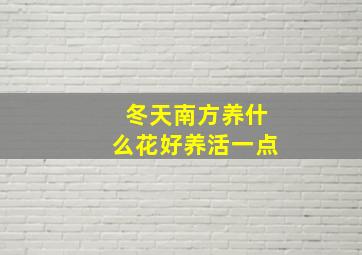 冬天南方养什么花好养活一点