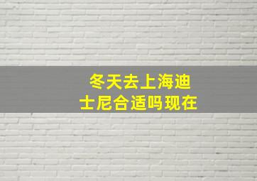 冬天去上海迪士尼合适吗现在