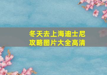 冬天去上海迪士尼攻略图片大全高清