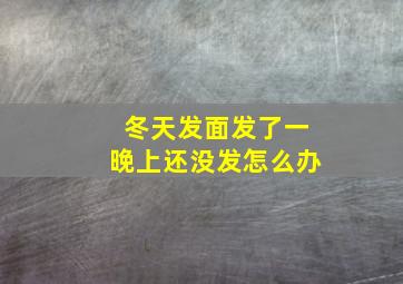 冬天发面发了一晚上还没发怎么办