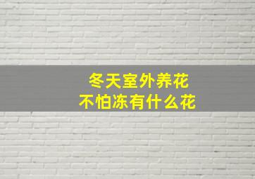 冬天室外养花不怕冻有什么花