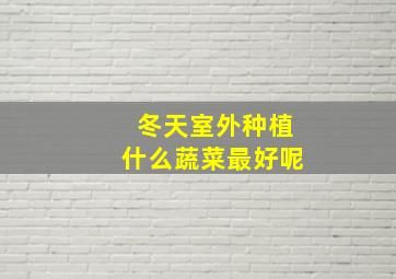 冬天室外种植什么蔬菜最好呢