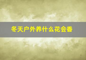 冬天户外养什么花会香