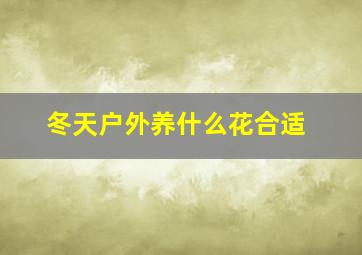 冬天户外养什么花合适