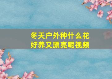 冬天户外种什么花好养又漂亮呢视频