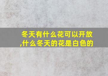 冬天有什么花可以开放,什么冬天的花是白色的