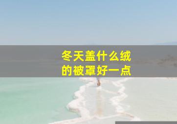 冬天盖什么绒的被罩好一点