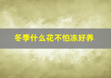 冬季什么花不怕冻好养