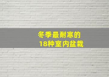 冬季最耐寒的18种室内盆栽