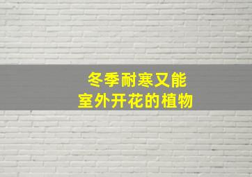 冬季耐寒又能室外开花的植物