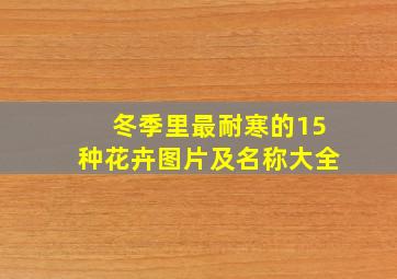 冬季里最耐寒的15种花卉图片及名称大全