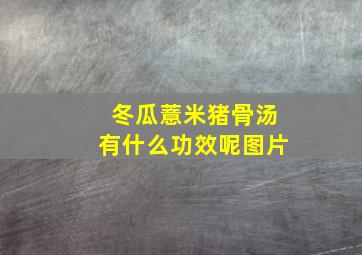 冬瓜薏米猪骨汤有什么功效呢图片