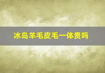 冰岛羊毛皮毛一体贵吗