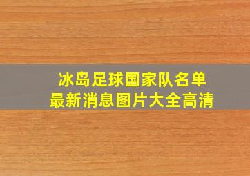 冰岛足球国家队名单最新消息图片大全高清