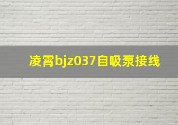 凌霄bjz037自吸泵接线