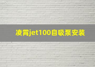 凌霄jet100自吸泵安装