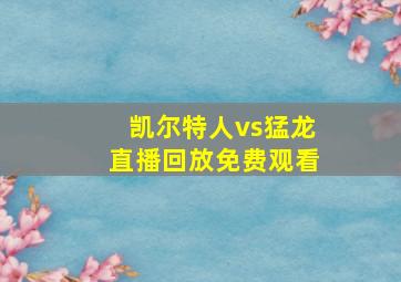 凯尔特人vs猛龙直播回放免费观看