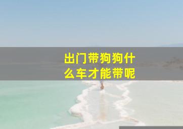 出门带狗狗什么车才能带呢