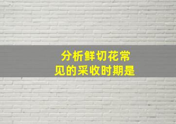 分析鲜切花常见的采收时期是