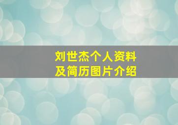 刘世杰个人资料及简历图片介绍