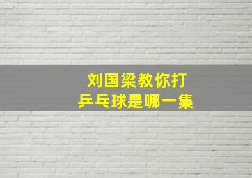 刘国梁教你打乒乓球是哪一集